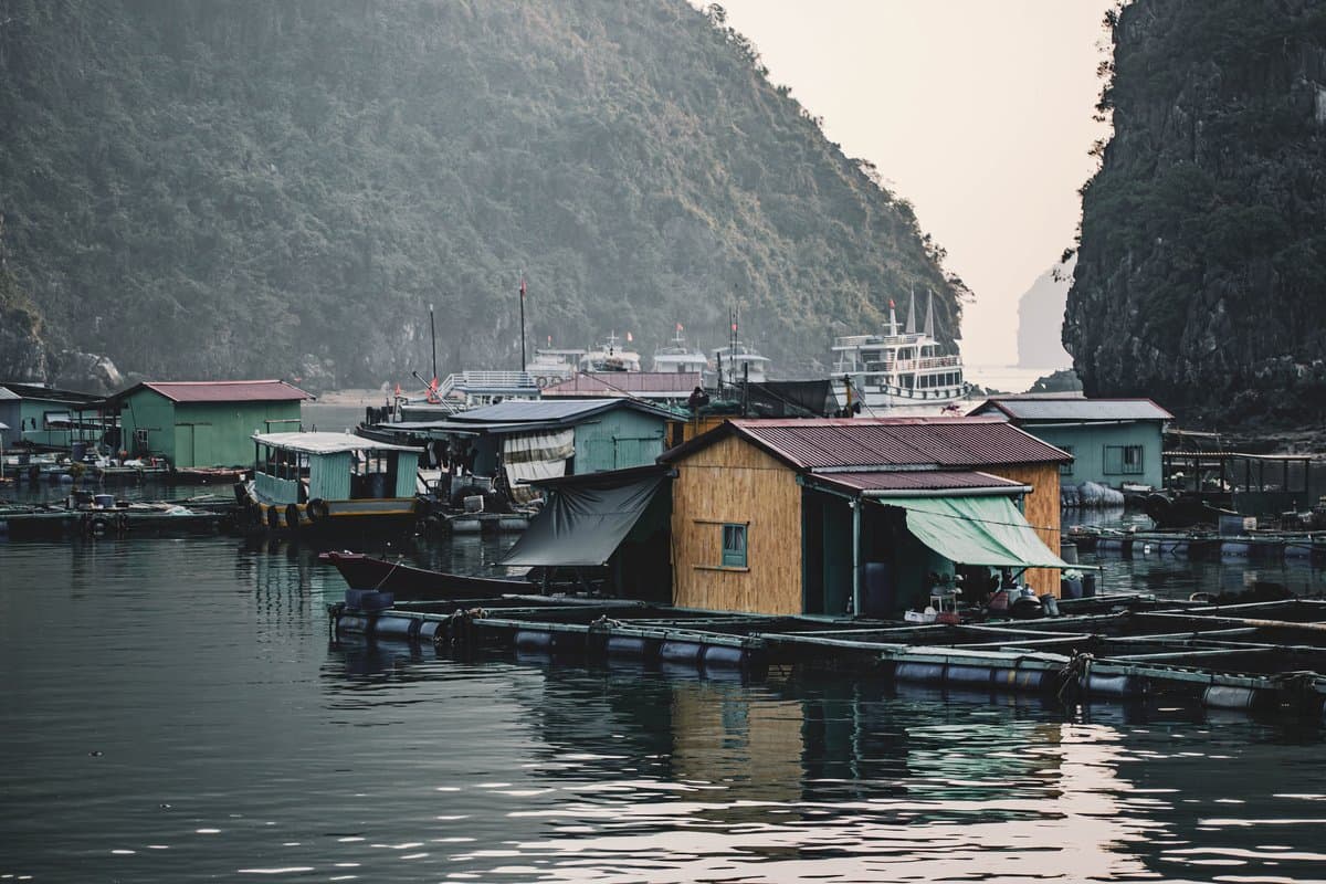 One Night on Halong, by Way of Da Nang