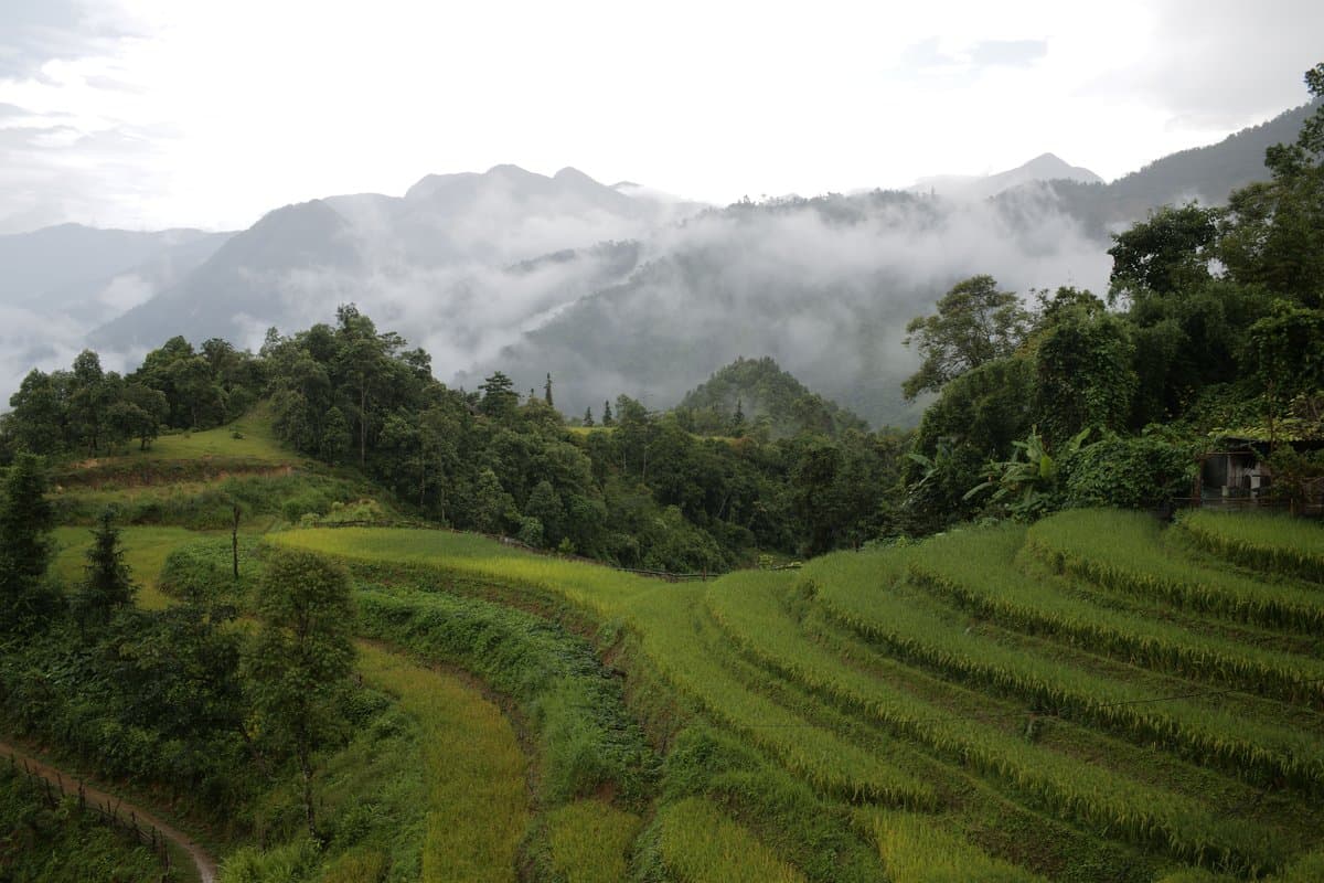 Saigon to the Sapa Clouds