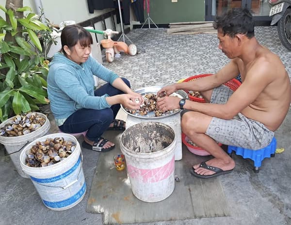Hoi An: My Son Sanctuary in the morning/morning/afternoon with boat ride 5