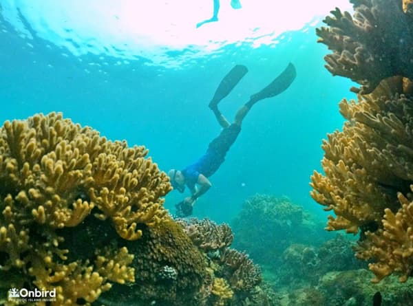 South Phu Quoc: Professional Speedboat Snorkeling Tour - Maximum 10 people 4