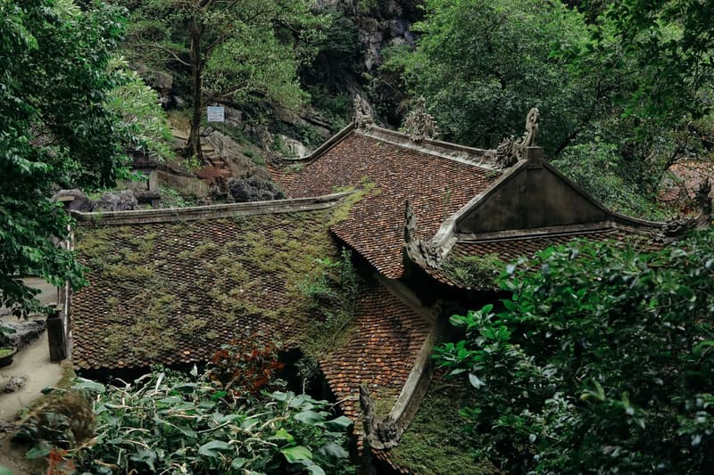 Da Nang to the Ninh Binh Rice Fields