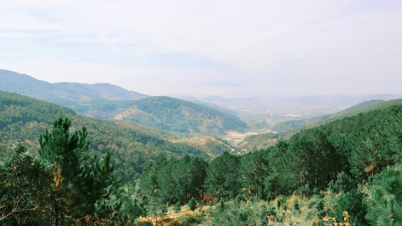 The Central Highlands to Nha Trang Bay