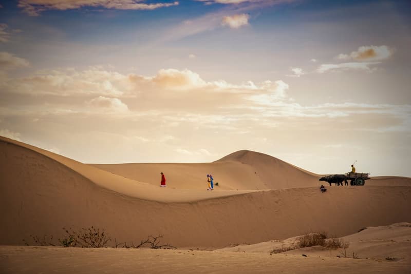 Dunes to Halong, the Full Coastline