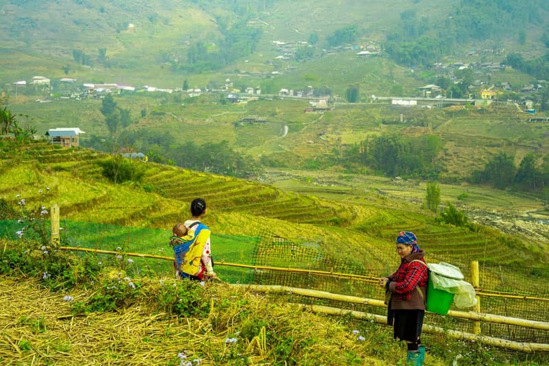 Trekking Sapa, the Central Route