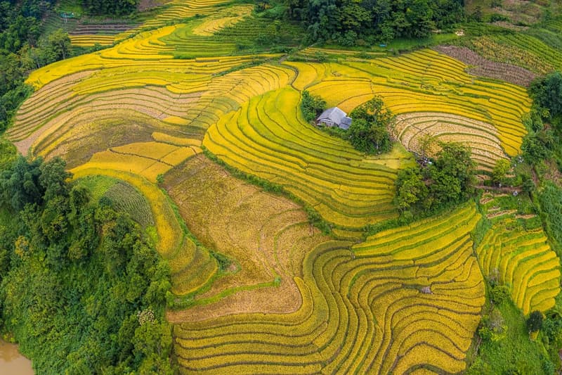 Eleven Days, Saigon to Sapa