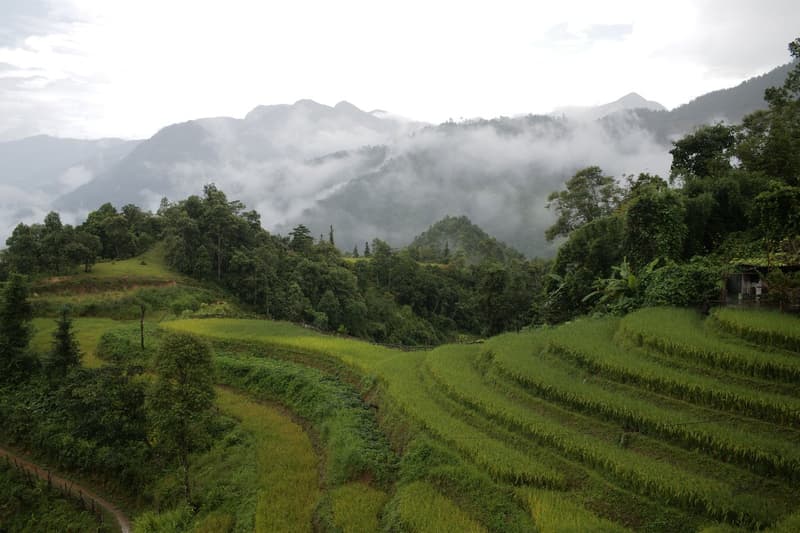 Saigon to the Sapa Clouds